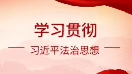 學習貫徹習近平法治思想